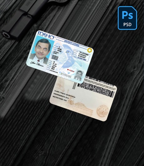 USA Idaho driving license 2023-present PSD